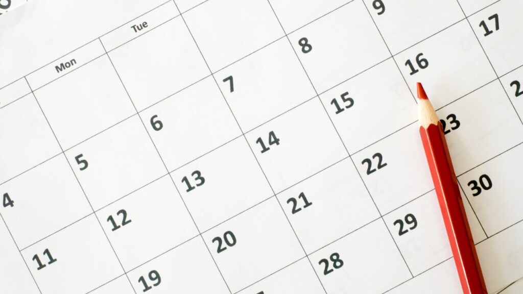 マイクロ法人における決算月の考え方|合同会社あすだち