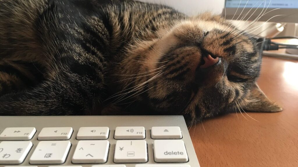 まとめ|合同会社あすだち