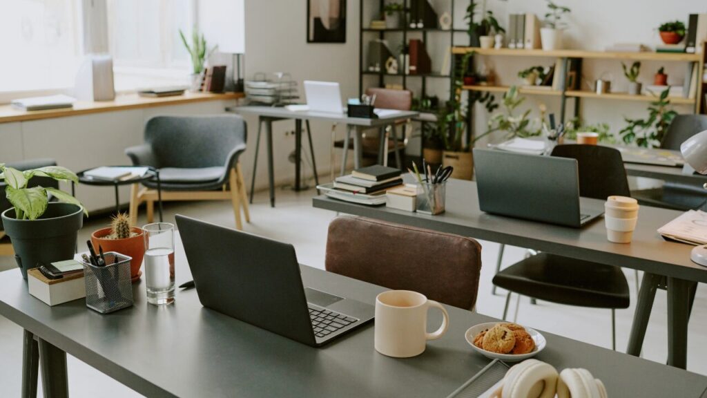 「前株」と「後株」に決まりはある?|合同会社あすだち